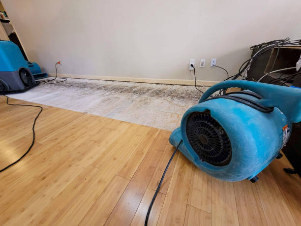 Professional Water Damage Repair technician working in Menifee, CA